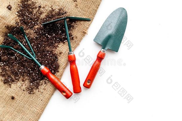 园艺工具:铁锹,餐叉,手中耕机,锄头向帆布和