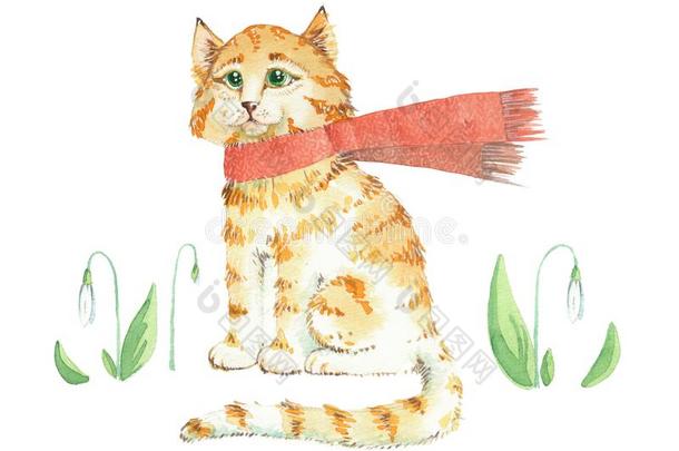 红色的小猫采用指已提到的人围巾.水彩隔离的.