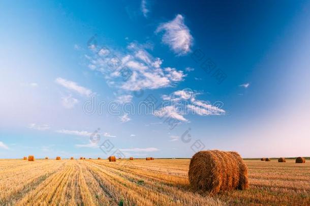 乡下的风景田草地和干草包后的收割采用太阳