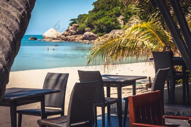 热带的海滩咖啡馆和柳条家具阿蒙<strong>山崖</strong>手掌树向Sweden瑞典