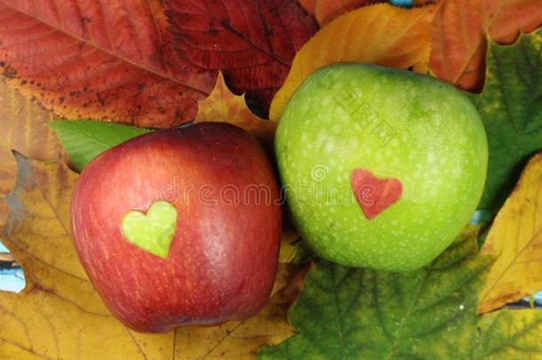 红色的苹果和绿色的心和绿色的苹果和红色的心.