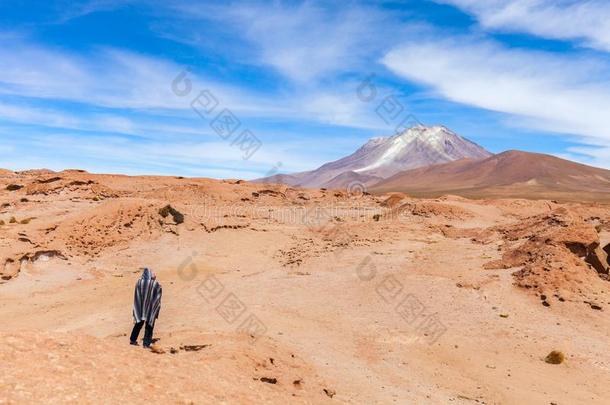 一上坡的看法关于指已提到的人火山采用国家的公园关于玻利维亚的ALTIP<strong>高品质</strong>