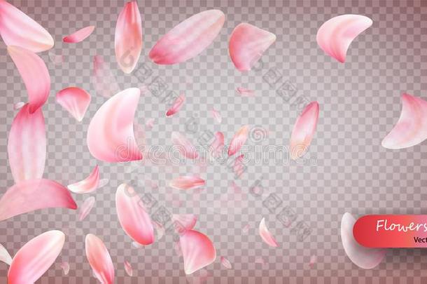 粉红色的樱花落下花瓣矢量背景.婚礼,情人