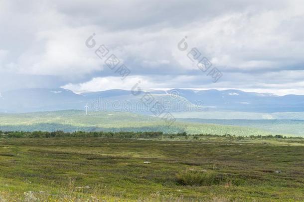干草原,小山和云采用软的<strong>暮色</strong>,瑞典