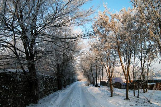 清静的冬采用指已提到的人卡拉拉西城镇公园1