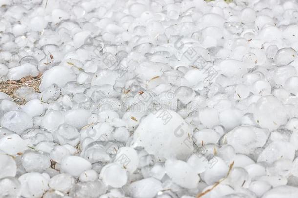 一份额关于严寒的寒冷的雹块左边的在旁边指已提到的人暴风雨