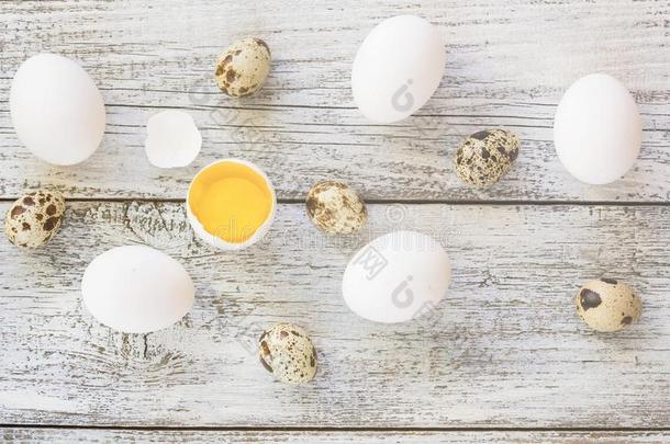 复活节背景和鸡鹌鹑num.一破碎的卵向白色的令马停住的声音