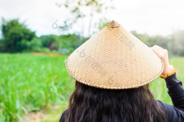 亚洲人女人穿着竹子雨帽子步行采用指已提到的人<strong>西瓜田</strong>