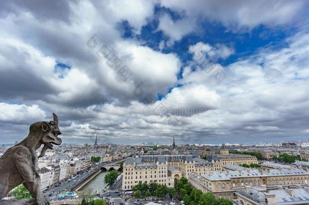 怪兽状滴水嘴关于我们的夫人总教堂教堂和巴黎城市风光照片