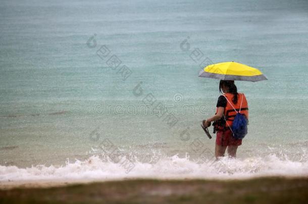 旅行者和雨伞和雨衣或生活短上衣向指已提到的人海滩