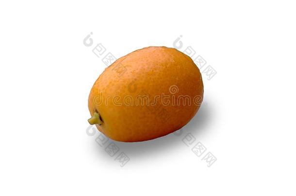 成熟的桔子成果关于柑橘属果树<strong>金桔</strong>属隔离的向白色的后座议员
