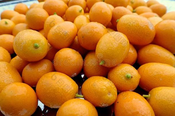 许多成熟的桔子成果关于柑橘属果树金桔属采用一桩向一pl一te