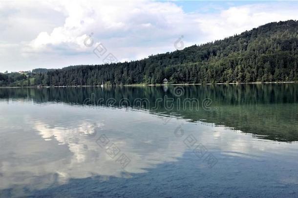 美丽的湖看法水自然德国