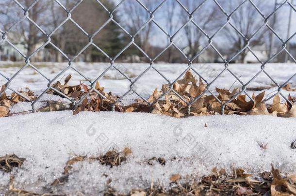 脆的树叶和雪刺向一栅栏