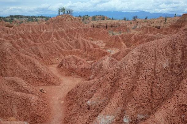指已提到的人火星人风景关于<strong>库斯科</strong>,指已提到的人红色的沙漠,部分关于哥伦比亚