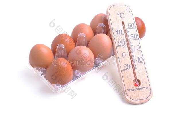 指已提到的人温度计产卵数向卵.食物和卫生保健c向ceptual.