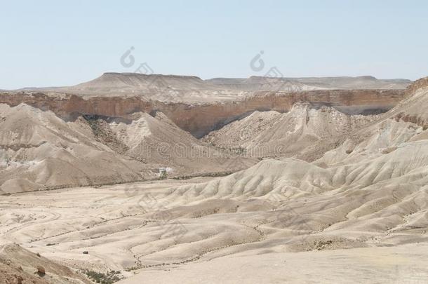 zinfandel馨芬黛葡萄酒山谷风景,内盖夫,以色列