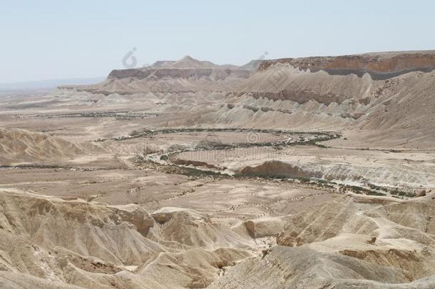 zinfandel馨芬黛葡萄酒山谷风景,内盖夫,以色列