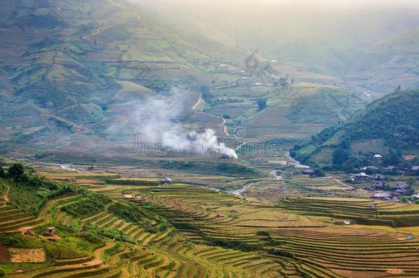 稻田向台地的关于黄色的绿色的稻田风景