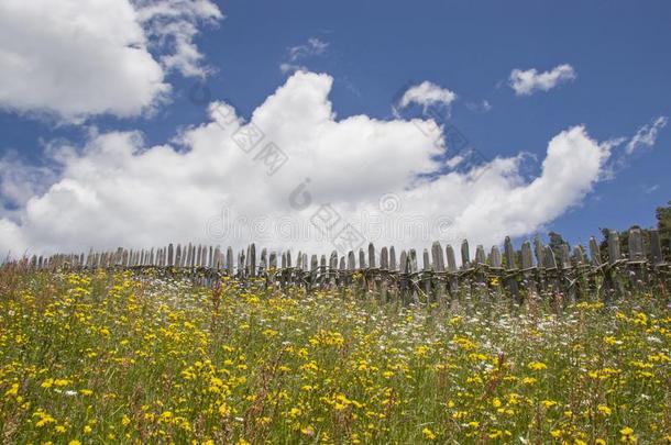 乡村的木制的栅栏和盛开的草地