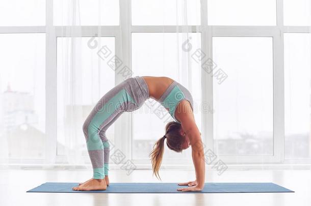 美丽的女人练习卖艺人身体向后仰作弓状的姿势瑜伽瑜珈的任何一种姿势乌尔达瓦Dhanur瑜珈的任何一种姿势