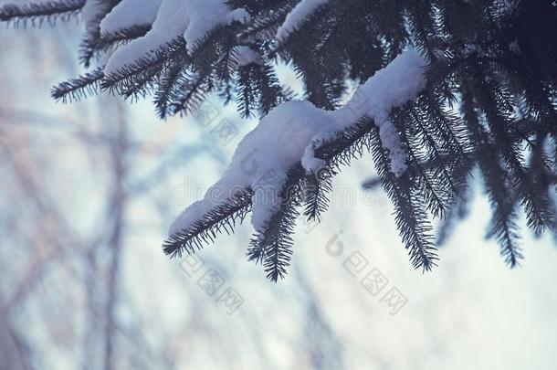 冬<strong>窗雪</strong>冰蓝色天大街背景