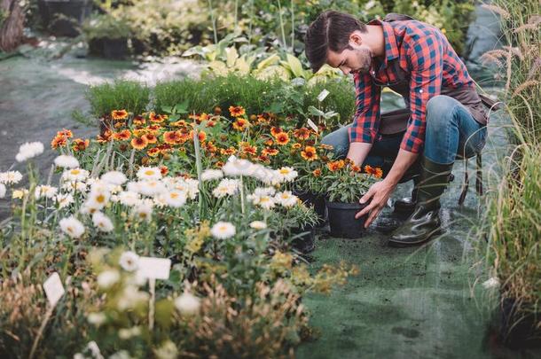 高加索人园丁采用橡胶擦靴人work采用g和花采用加德