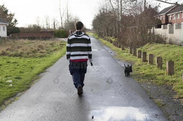 男人采用晚的二十walk采用g他的宠物苏格兰的小猎狗