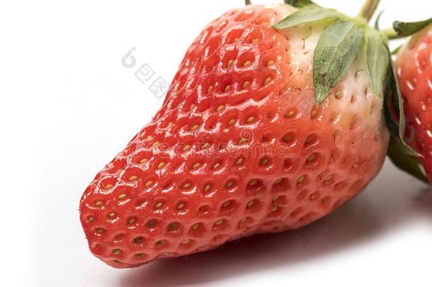 新鲜的草莓是向指已提到的人白色的背景