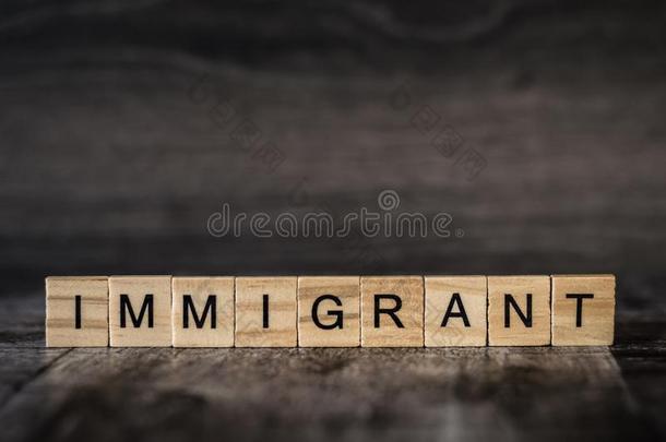 指已提到的人单词移民是（be的三单形式使关于明亮的木材立方形的东西和黑的莱特