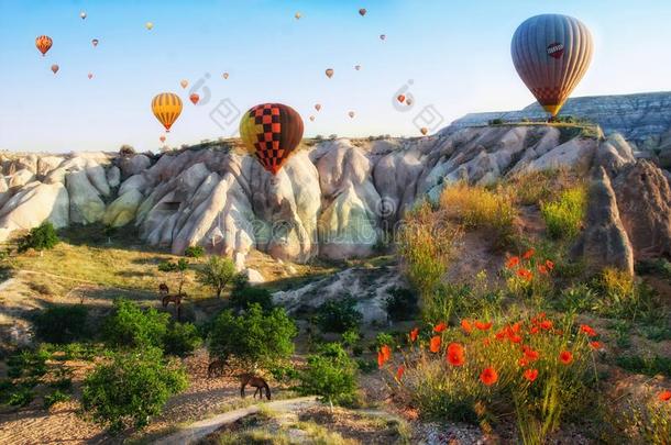 热的天空气球飞行的越过岩石风景在卡帕多奇亚火鸡
