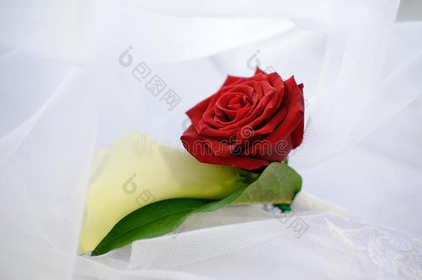 玫瑰和白色的花采用一钮扣孔