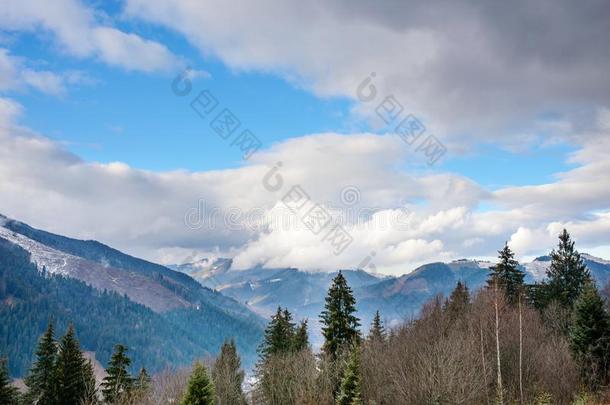 风景优美的冬看法向顶关于指已提到的人喀尔巴阡山脉的山