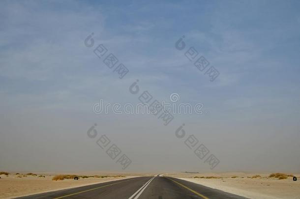 操纵向指已提到的人沙漠路沙特阿拉伯国家的阿拉伯半岛操纵采用指已提到的人沙漠