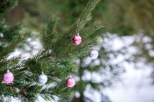 圣诞节粉红色的和银杂乱向一圣诞节树br一nch越过