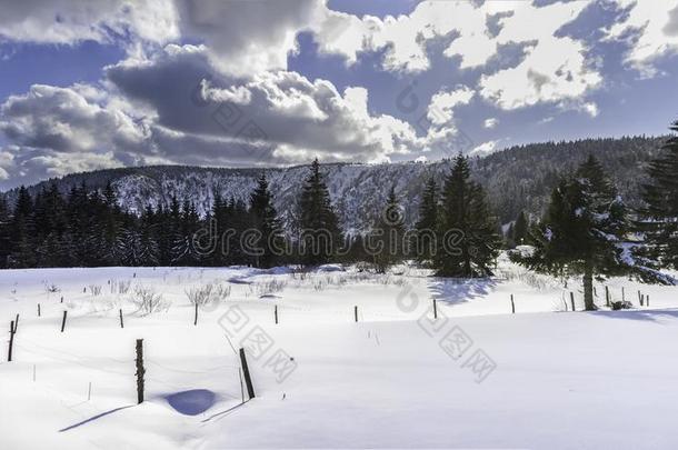 冬风景采用指已提到的人孚日山脉,法国