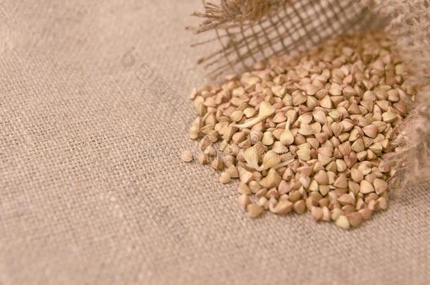 蓼科荞麦属双齿鱼叉.健康的食物.中立的背景.碾去壳的燕麦