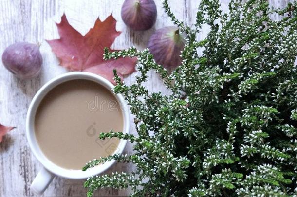 秋仍生活和咖啡豆&石南属植物