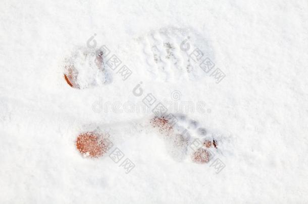 脚印关于赤脚的脚向白色的雪