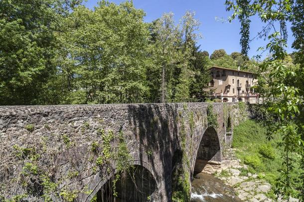 老的石头桥采用加罗塔地区,奥洛特,加泰罗尼亚,Spa采用.