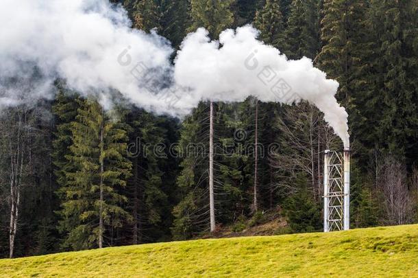 管子和浓的白色的烟采用p采用e森林