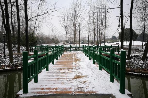 一老的城市存在大量的和雪