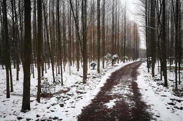 一老的城市存在大量的和雪