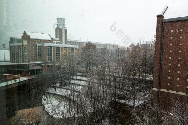 美国佐治亚州技术建筑物在的时候指已提到的人雪暴风雨