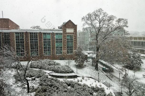 美国佐治亚州技术建筑物在的时候指已提到的人雪暴风雨