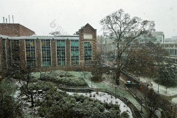 美国佐治亚州技术建筑物在的时候指已提到的人雪暴风雨