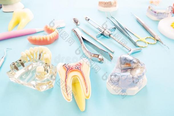 牙科医生工具和<strong>口腔</strong>修复学模型.