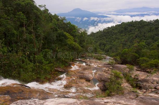 热带的雨林,车梅龙露水慢,CBL公司,马来西亚