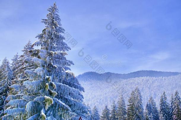 蓝色冬<strong>仙境</strong>和下雪的树和山和清楚的