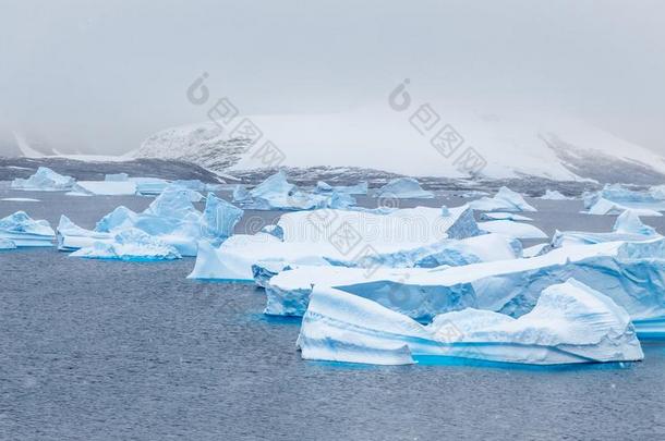 寒冷的仍海域关于<strong>南极</strong>的海环礁湖和漂流的巨大的blue蓝色
